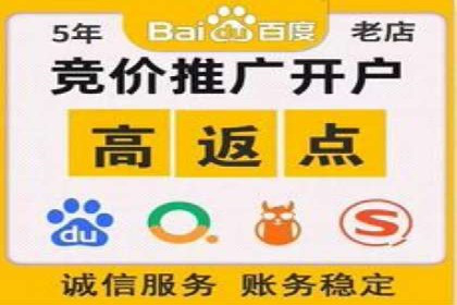 SEM运营推广策略案例分析